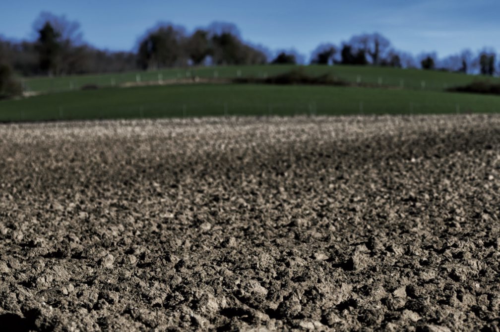 Agricultura-regenerativa