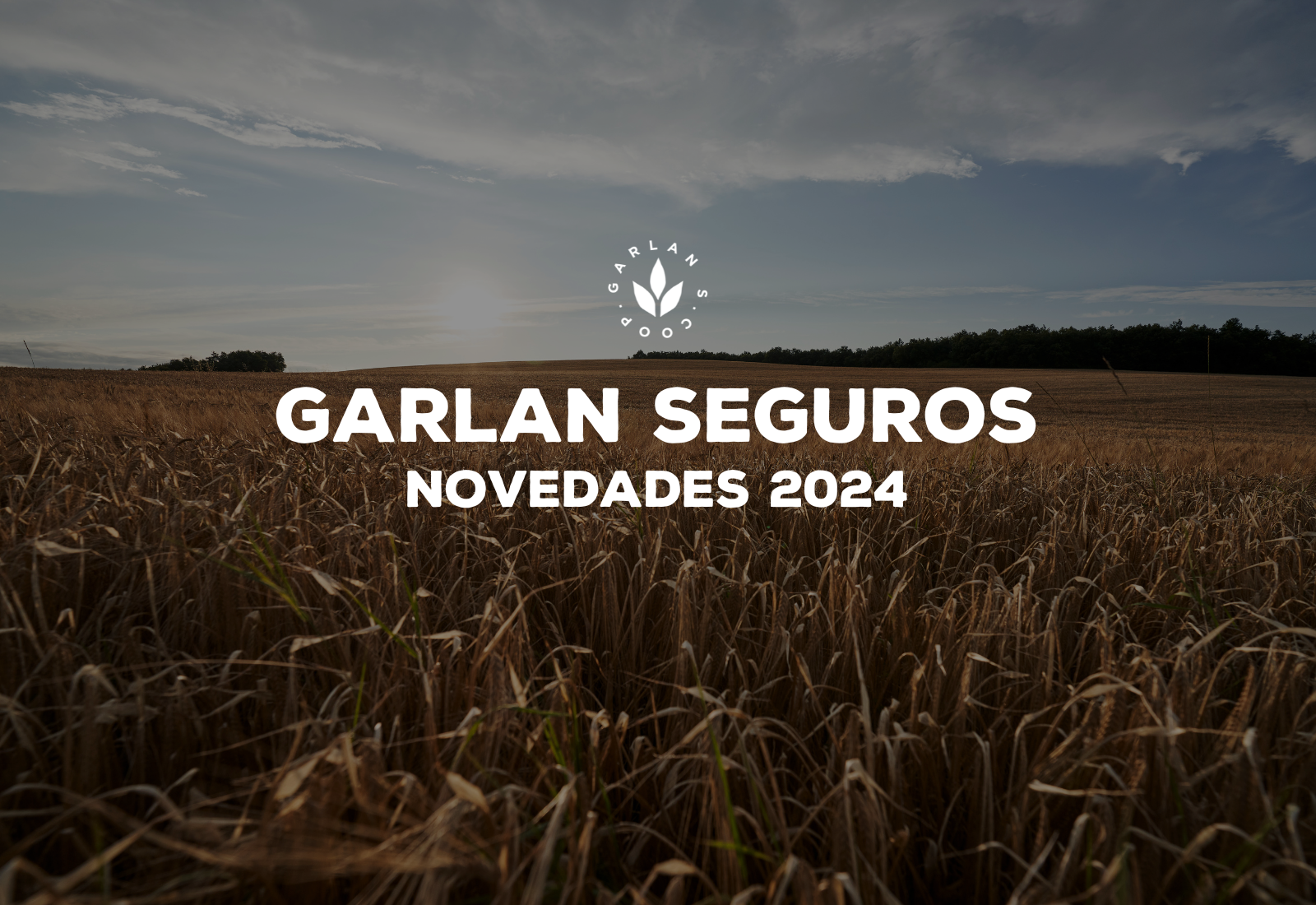 Garlan S. Coop Facebook (13)