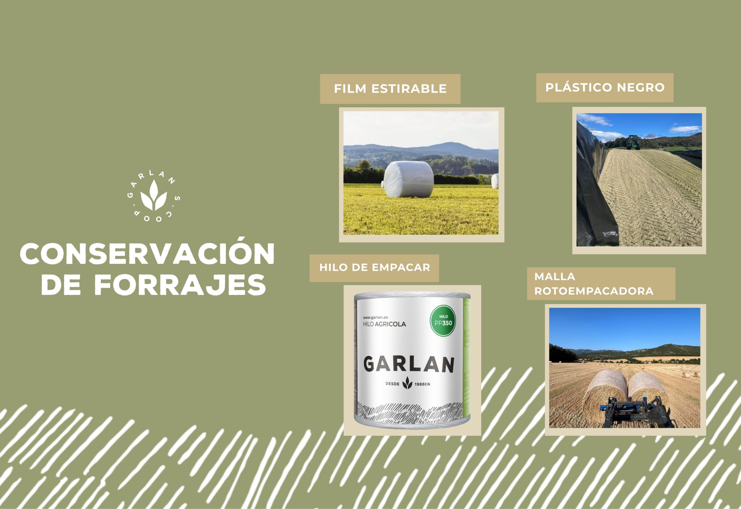 Garlan S. Coop Facebook - 11