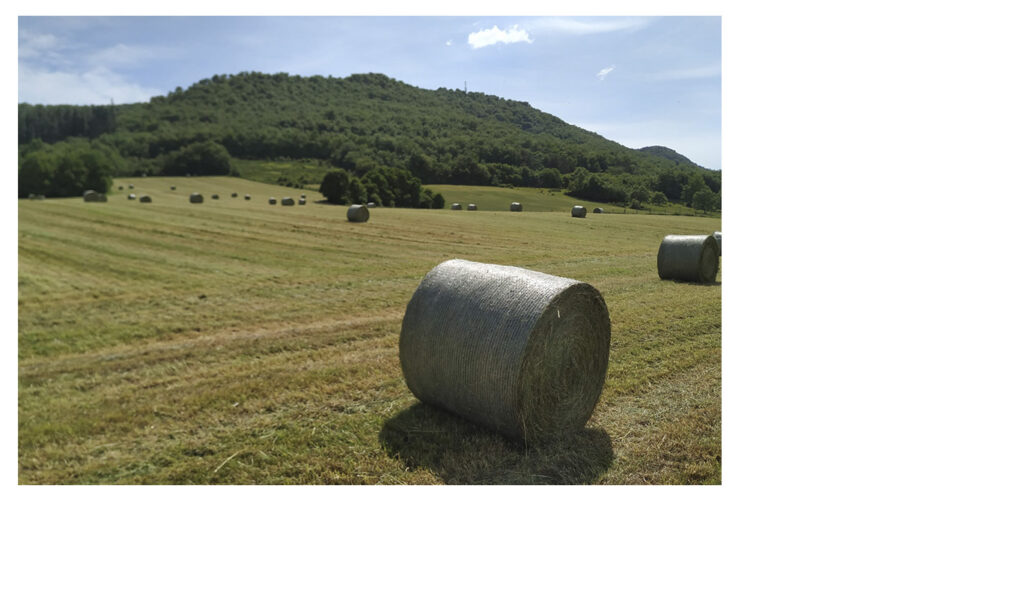 garlan_productos_alfalfa