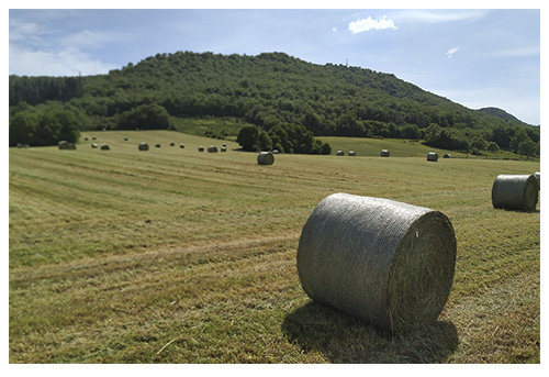 garlan_productos_alfalfa_m