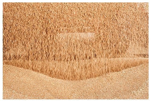 garlan_productos_grano_f_m