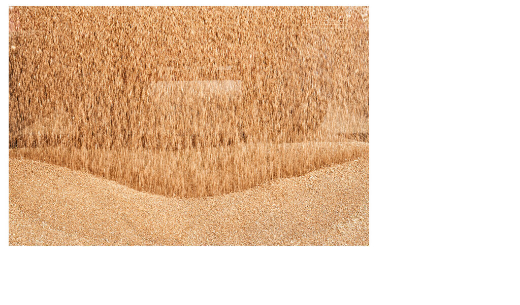 garlan_productos_grano_fn