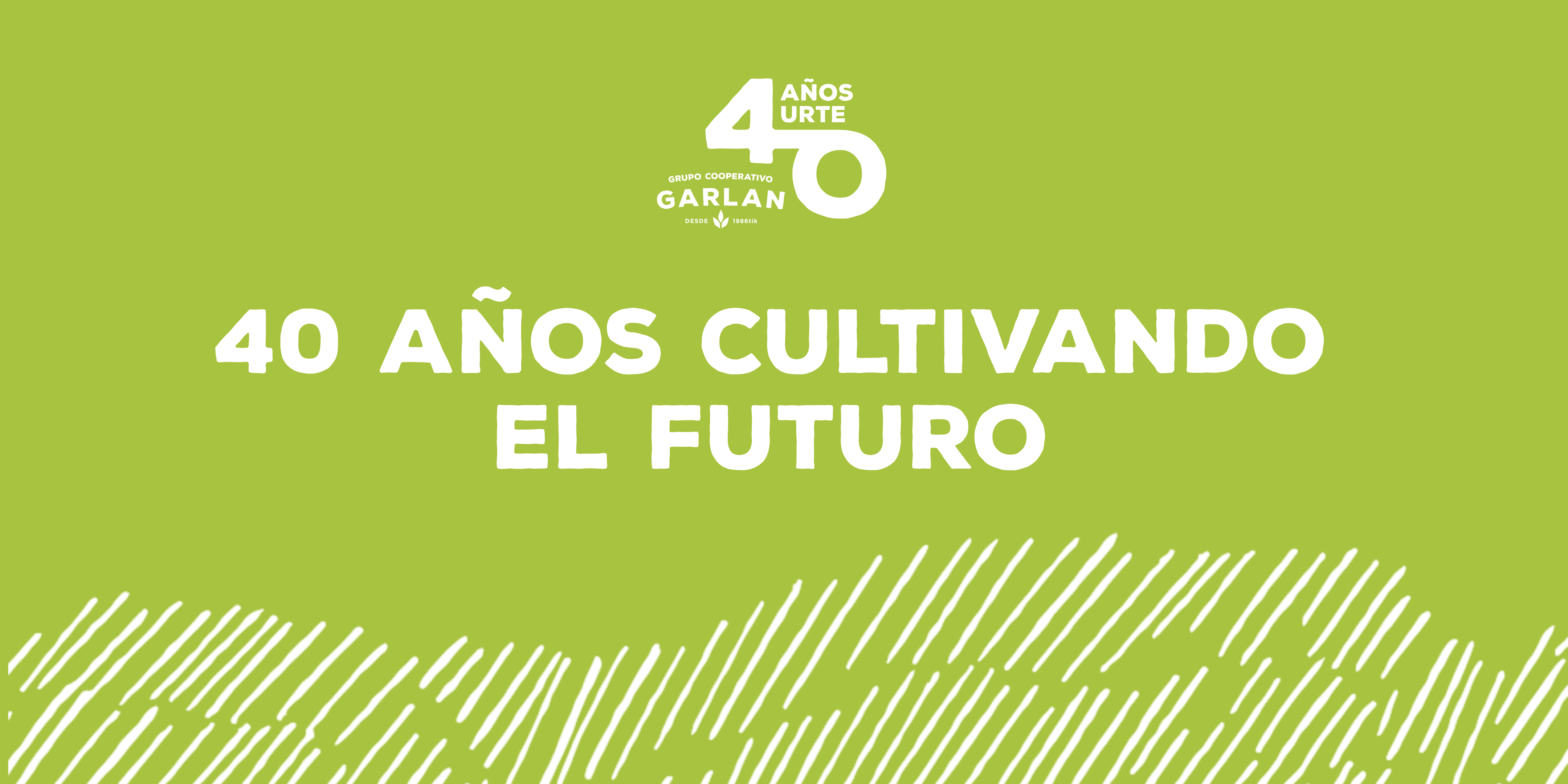 Diseño sin título (2)