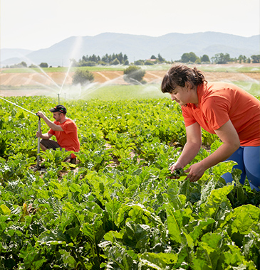 grl_40_agricultores_1