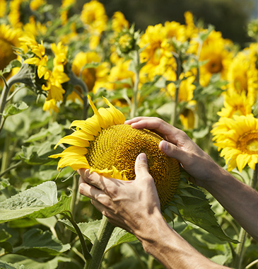 grl_40_agricultores_2