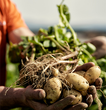 grl_40_agricultores_3